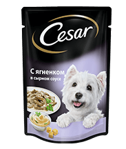 Cesar пауч влажный корм для взрослых собак ягненок в сырном соусе