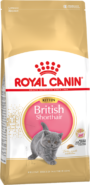 Royal Canin Kitten British Shorthair Корм сухой для котят породы Британской короткошерстной в возрасте от 4 до 12 месяцев
