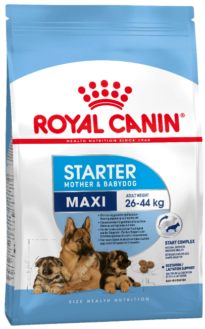 Royal Canin MAXI STARTER сухой корм для щенков крупных пород до 2-х месяцев, беременных и кормящих 4кг